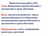 Практическая работа №3. Выявление приспособлений у организмов к среде обитания