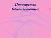 Подцарство простейшие