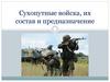 Сухопутные войска, их состав и предназначение