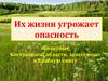Их жизни угрожает опасность. Животные Костромской области, занесённые в Красную книгу