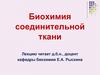 Биохимия соединительной ткани