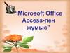Microsoft Office Access - пен жұмыс