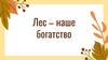 Лес – наше богатство