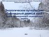 Экологическое путешествие «Заповедный дивный край» (к Дню заповедников и национальных парков)