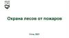 Охрана лесов от пожара