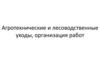 Агротехнические и лесоводственные уходы, организация работ. Лекция 8