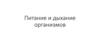 Питание и дыхание организмов