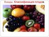 Плоды. Классификация плодов