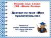 Диктант по теме «Имя прилагательное»