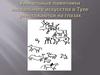 Памятники наскального искусств в Туве. Проблемы сохранения памятников