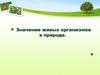 Значение живых организмов в природе