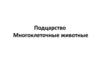 Подцарство Многоклеточные. Тип Кишечнополостные