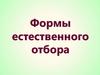 Формы естественного отбора