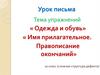 Имя прилагательное. Правописание окончаний