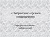 Эмбриогенез органов пищеварения