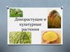 Дикорастущие и культурные растения