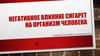 Негативное влияние сигарет на организм человека