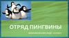 Отряд Пингвины
