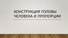 Конструкция головы человека и пропорции. 6 класс
