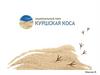 Национальный парк «Куршская коса»