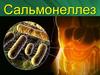 Сальмонеллез