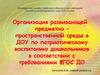 Организация развивающей предметно – пространственной среды в ДОУ по патриотическому воспитанию дошкольников