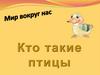 Мир вокруг нас. Кто такие птицы