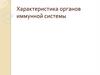 Органы иммунной системы у животных