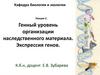 Генный уровень организации наследственного материала. Экспрессия генов. Лекция 2