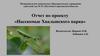 Отчет по проекту «Насекомые Хвалынского парка» "Родничок"