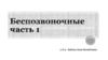 Беспозвоночные. Часть 1