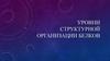 Уровни структурной организации белков