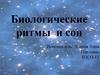 Биологические ритмы и сон