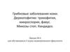 Грибковые заболевания кожи. Дерматофитии: трихофития, микроспория, фавус. Микозы стоп. Кандидоз