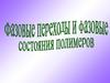 Общие представления о фазовых состояниях и фазовых переходах полимеров