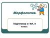 Морфология