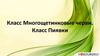 Класс Многощетинковые черви. Класс Пиявки