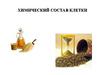 Химический состав клетки