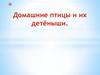 Домашние птицы и их детёныши
