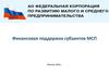Финансовая поддержка субъектов малого и среднего предпринимательства
