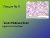 Медицинская протозоология. (Лекция 9)