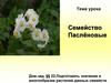 Семейство Паслёновые