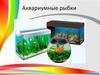 Аквариумные рыбки