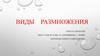 Виды размножения
