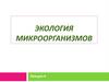 Экология микроорганизмов. Лекция 4
