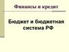 Бюджет и бюджетная система РФ