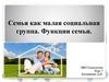 Семья как малая социальная группа. Функции семьи
