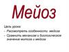 Мейоз и митоз