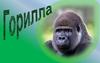 Примат горилла
