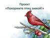 Проект «Покормите птиц зимой!»